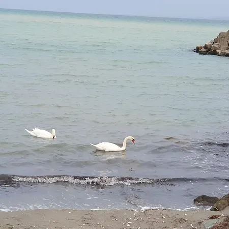 студио сарафово 公寓 布尔加斯